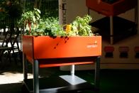Philippe Nourisson, Menuisier- - ebenisterie - catalogue-table - Prototype d'un jardin d'appartement